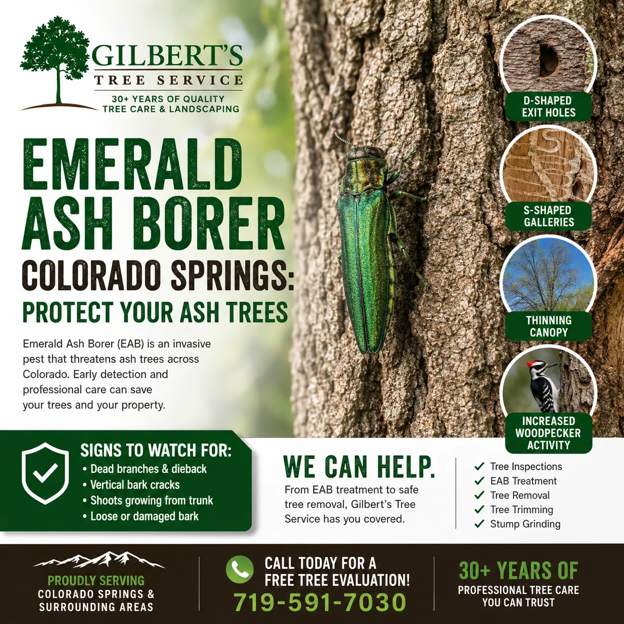 EMeraldAshBorer