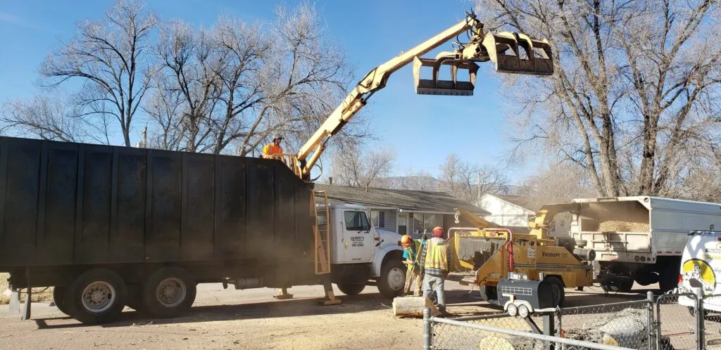 Grapple truck tree debris removal