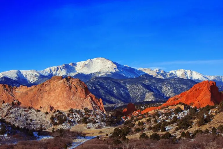 Tree thinning and defensible space work on a Colorado property