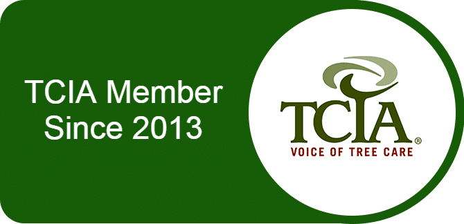 TCIA Member Since 2013