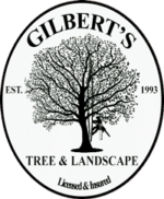 Gilbert's Tree & Landscape