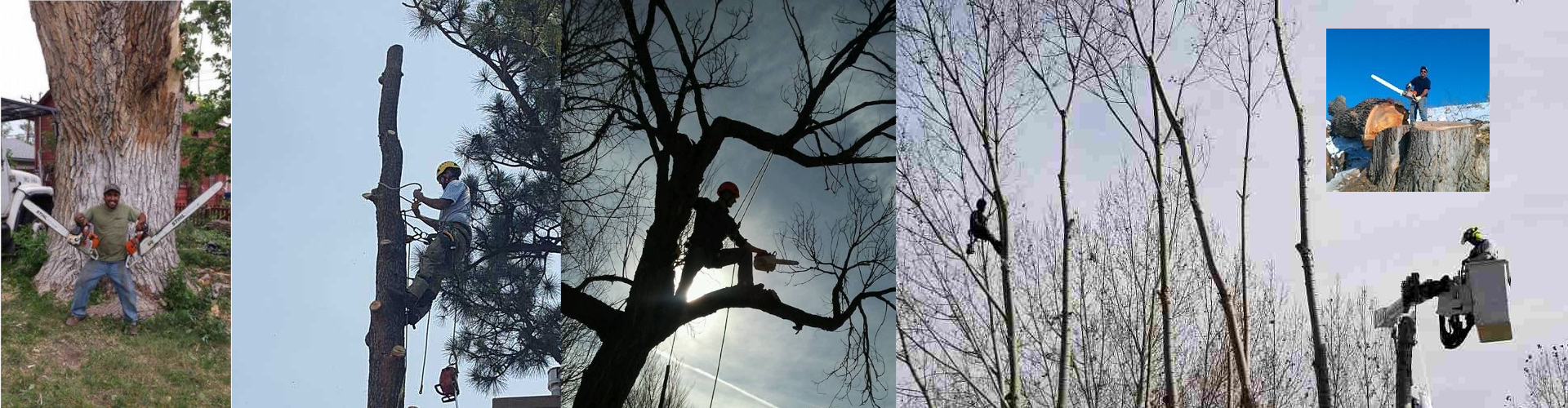 Gilbert's Tree & Landscape, Inc. work site