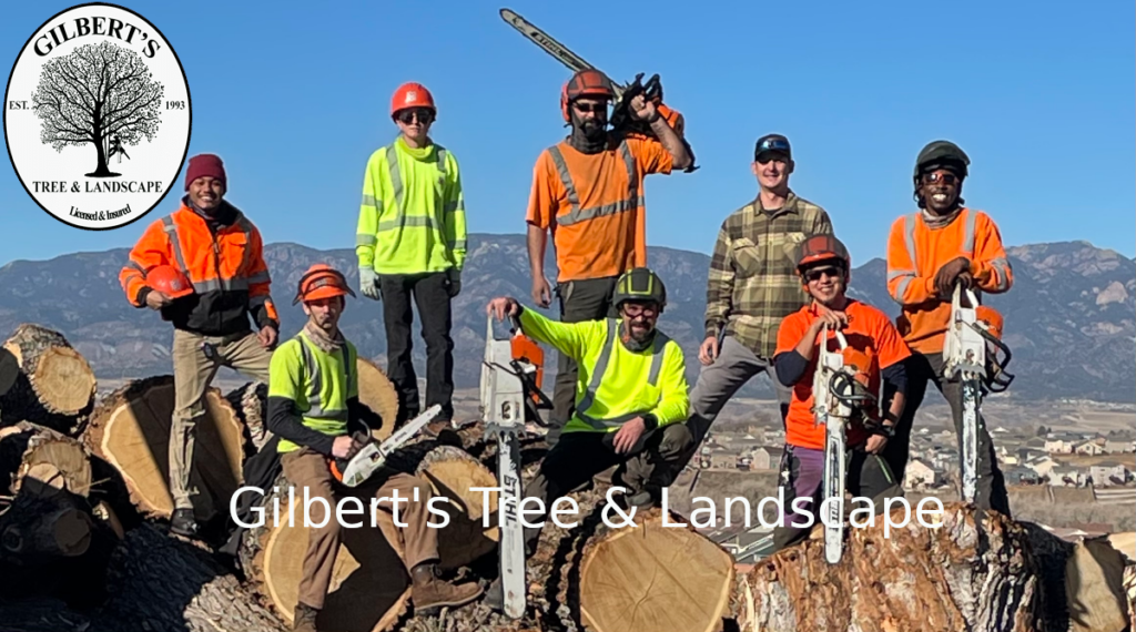 Gilbert's Tree Service Team