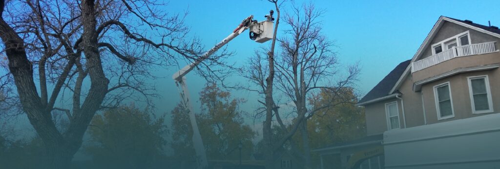 Bucket truck to remove large trees