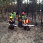 Gilbert's Tree Service Crew Members