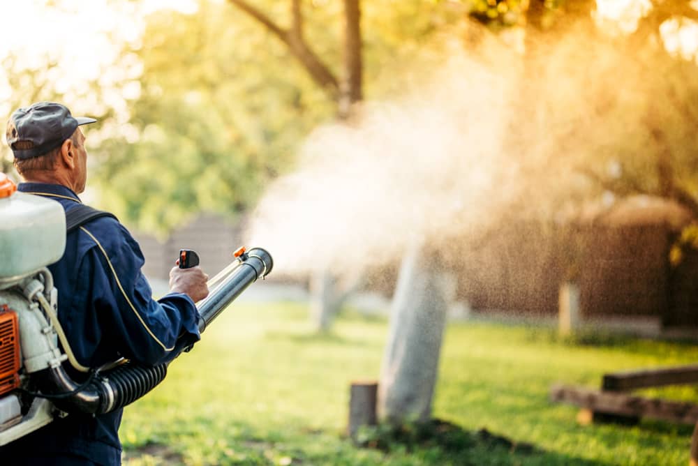 Tree Spraying Colorado Springs, CO