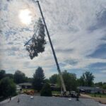 Tree Removal with crane