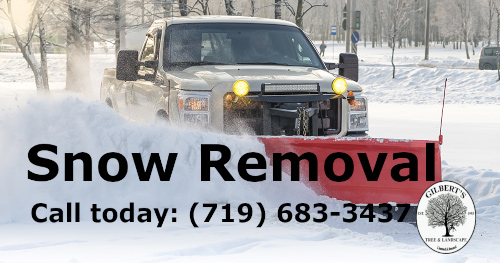 Professional Snow Removal