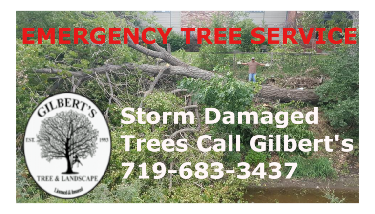 EMERGENCY TREE CARE SERVICE